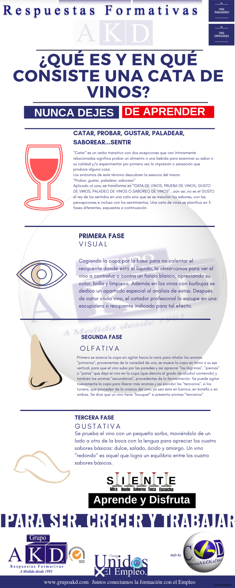 ¿Qué es una cata de vinos?
