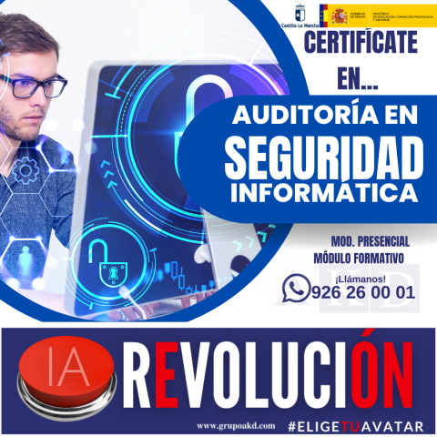 auditor seguridad informatica