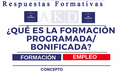 ¿Qué es la Formación Programada para empresas?