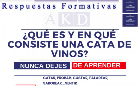 ¿Qué es una cata de vinos?